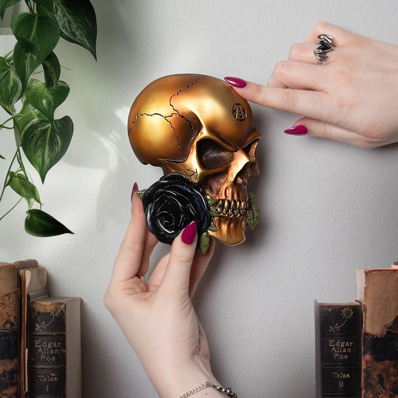 The Alchemist Skull And The Pure Black Rose Ornament