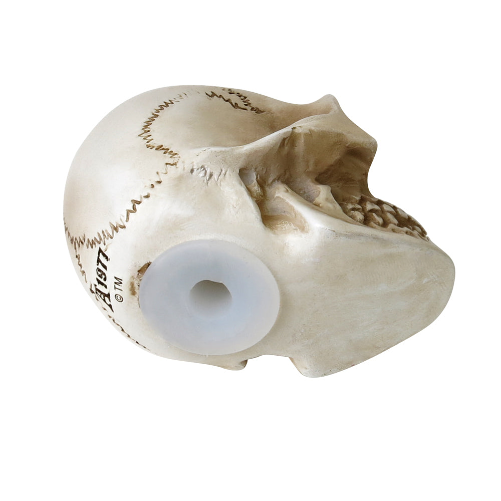 Bone Colored Skull Statue bottom view