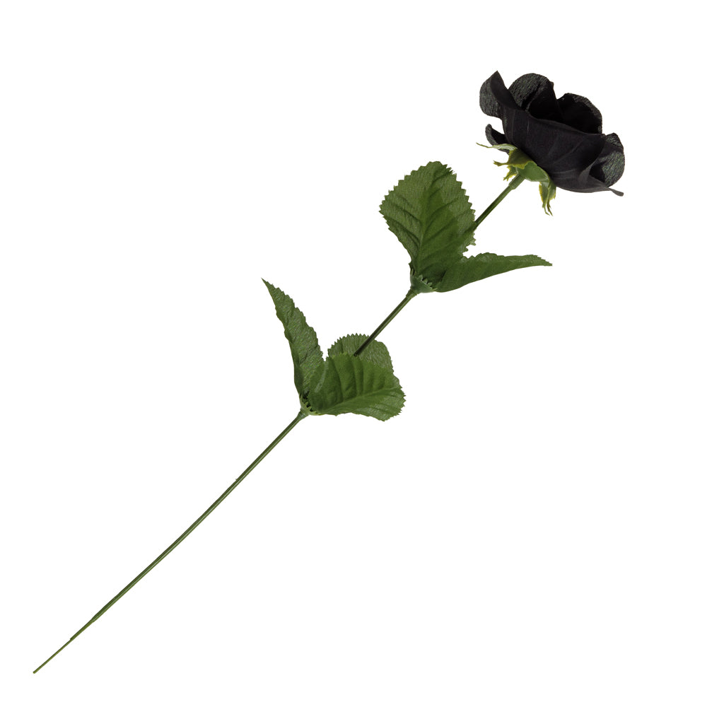 Black Rose With Stem side view