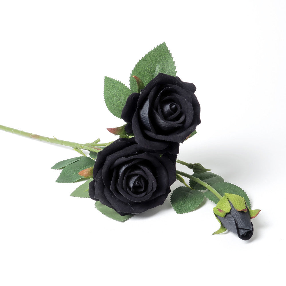 Blossoming Black Rose side view