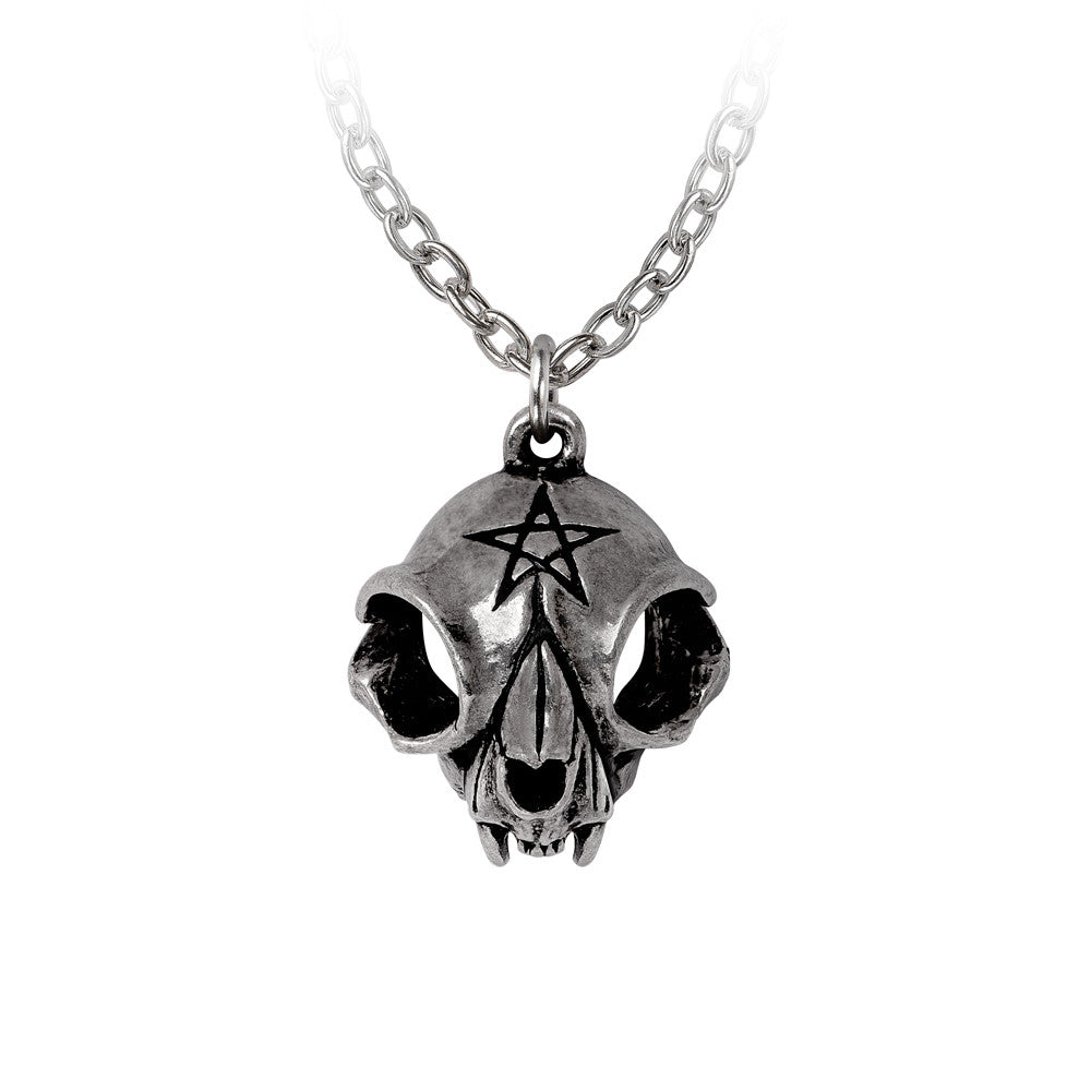 Cat Skull With An Etched Pentagram Pendant