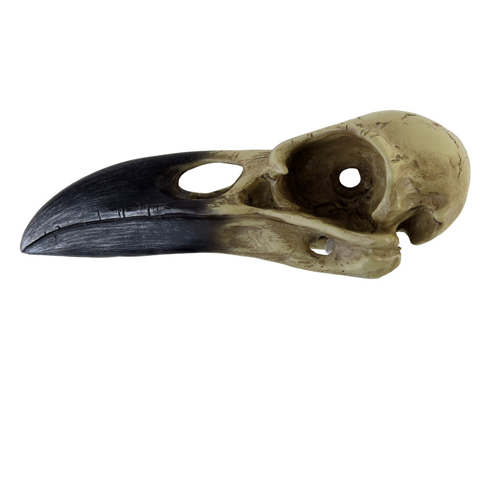 Mythical Raven Skull Statue side view