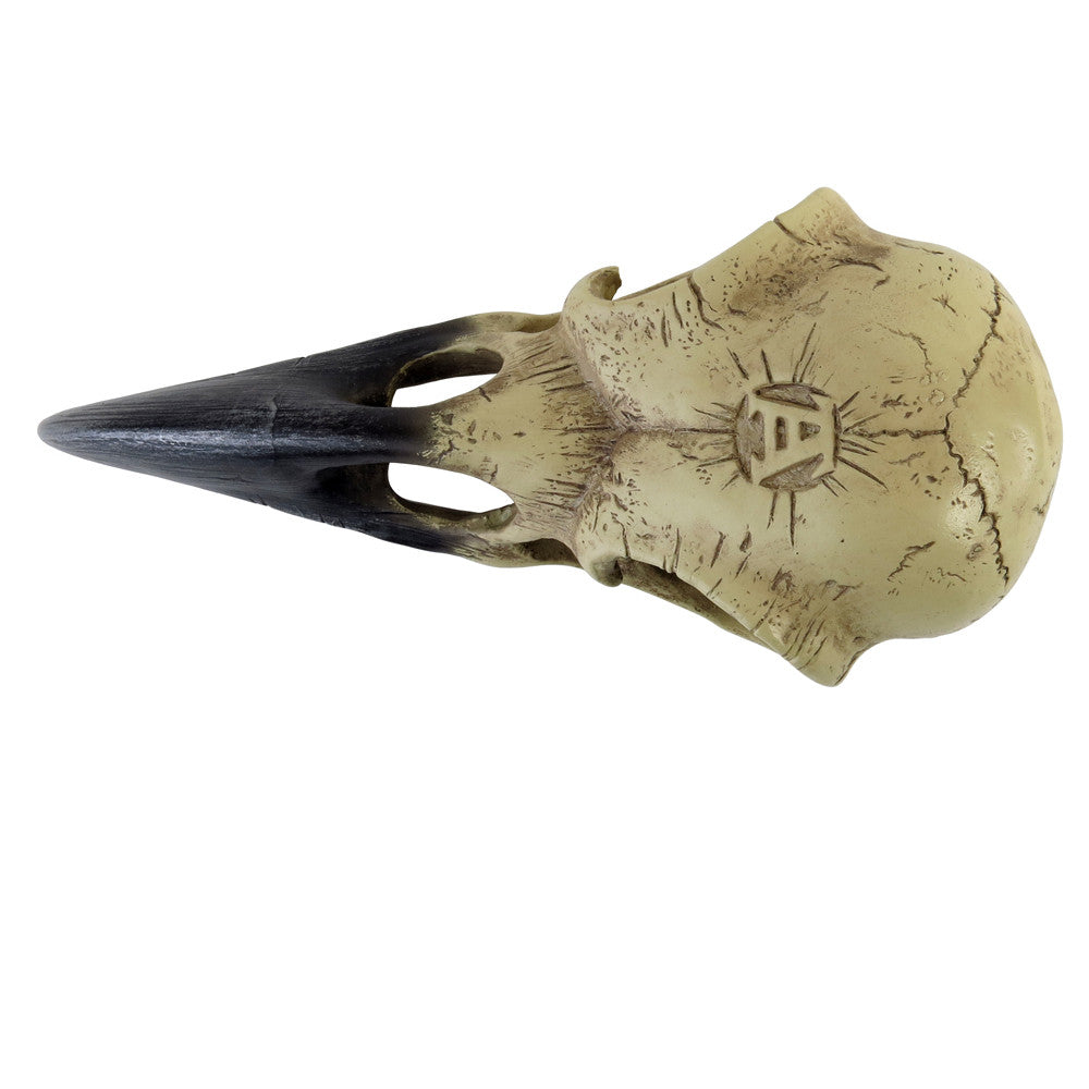 Mythical Raven Skull Statue top view