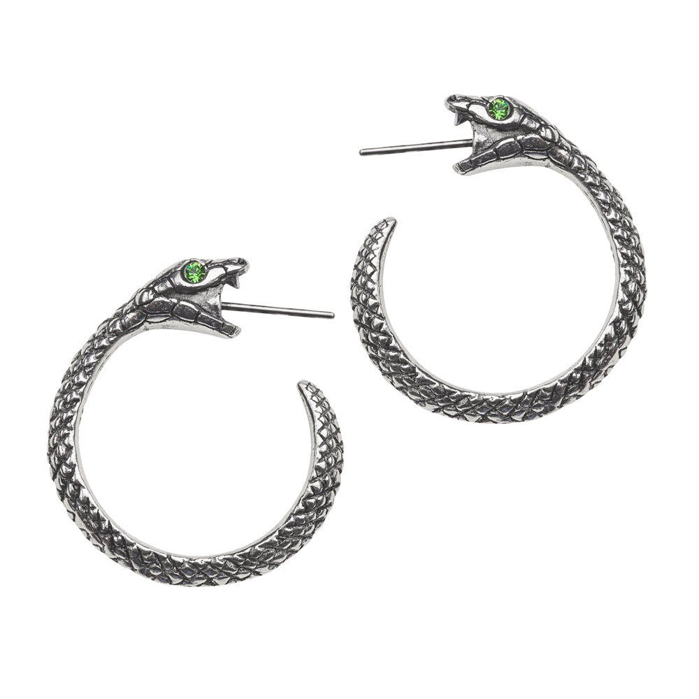 Ouroboros Earrings frontview