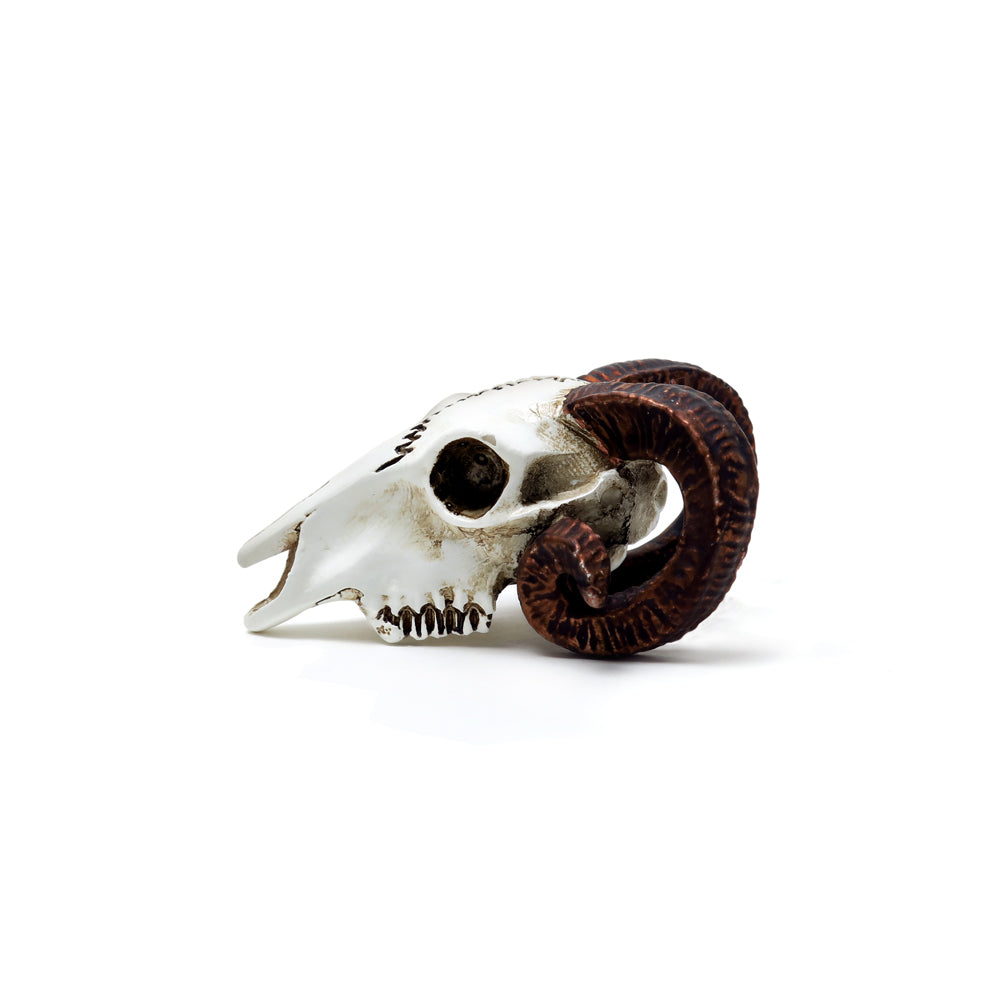 Ram Skull Statue side view