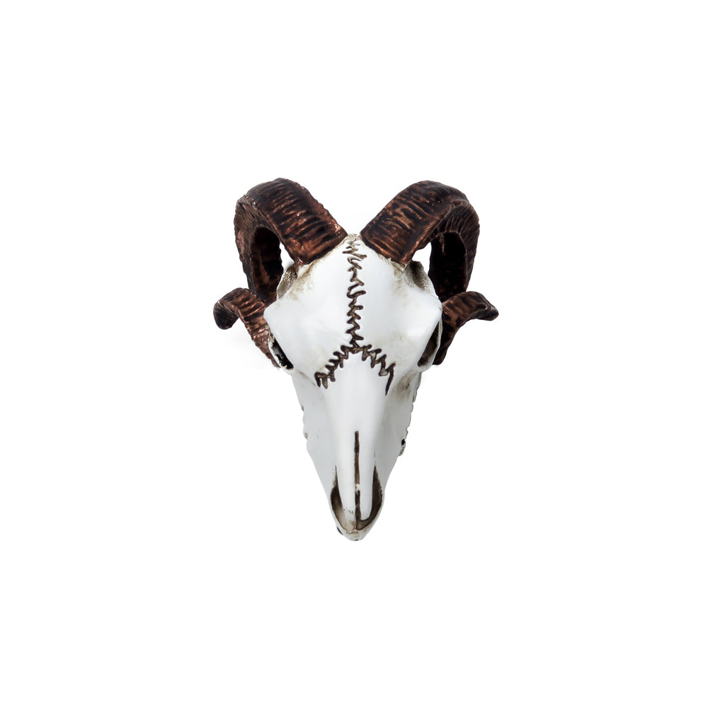 Ram Skull Statue top view