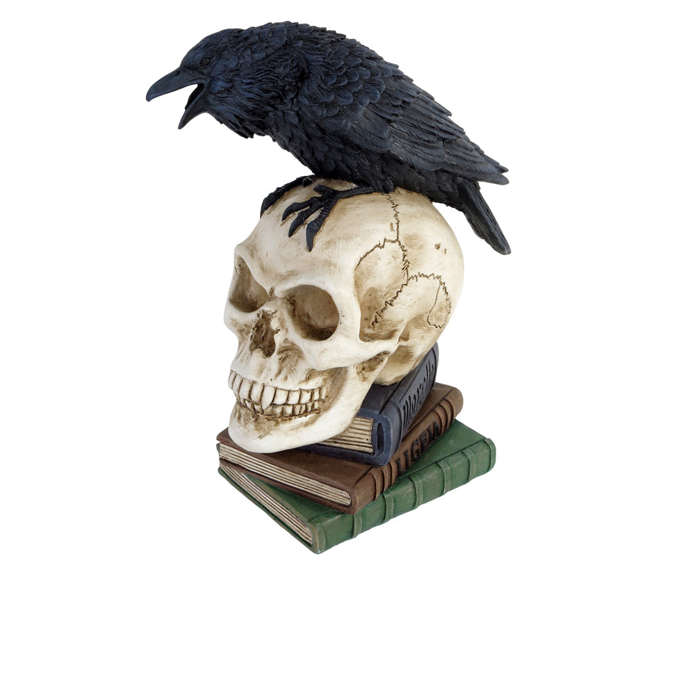 Raven And Skull Statue