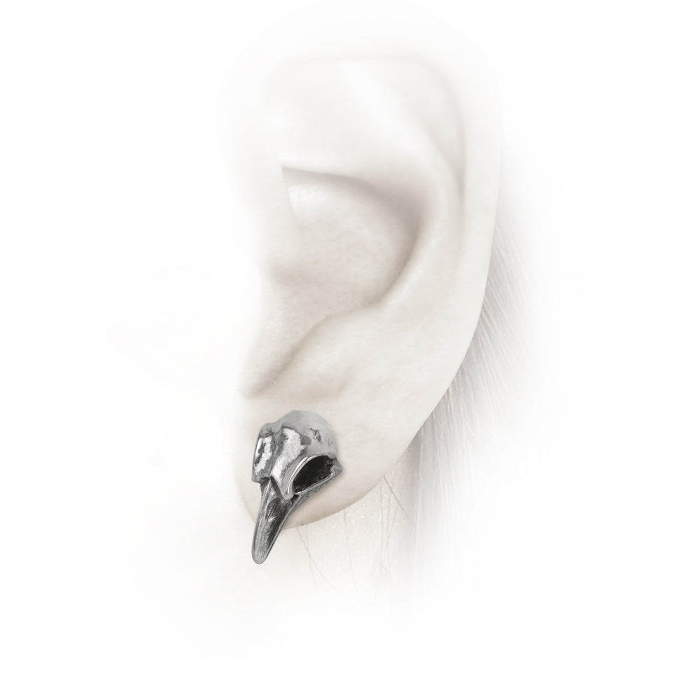 Raven Skull Earrings on a ear