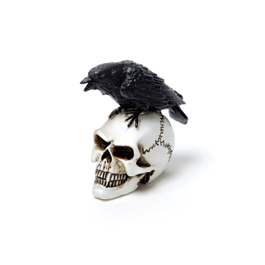 Raven And Skull Statue